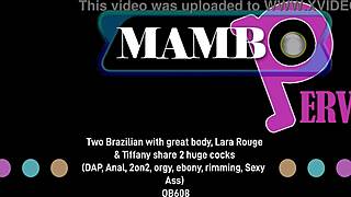 lara rouge brazilian anal dap orgy rimming bbc?