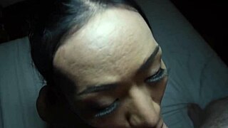 ladyboy cindy delivers pov blowjob then doggy anal pounding