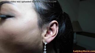 ladyboy cindy delivers pov blowjob then doggy anal pounding