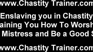 surrender your throbbing cock now