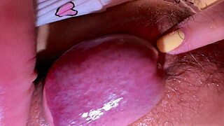 stylish young cuties fuck first time super wet