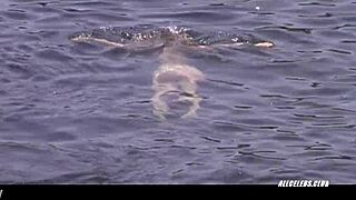 Leticia Brédice flashes perky tits in raw erotic scene