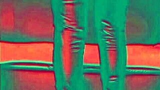 A horny babe worships stranger's ass intensely