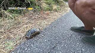 Amateur Couple's Passionate Outdoor Car Hood Fuck