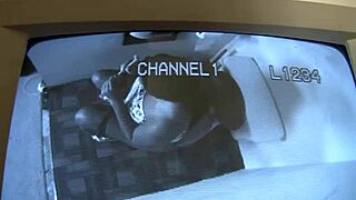 Natasha Dulce worships huge cock with deep chocolate throat