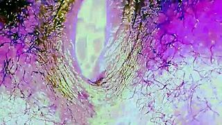 this masturbation feels so out of this world insanely sexy orgasmic