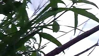 Chakalita's intense missionary pussy pounding session