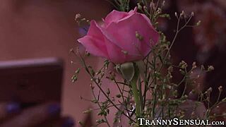 tattooed latina tgirl can't stop riding her stud's cock endlessly