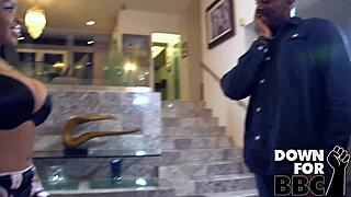 down for bbc? aryana adin curves take first monster black cock