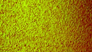 I hired this affordable asian mature escort