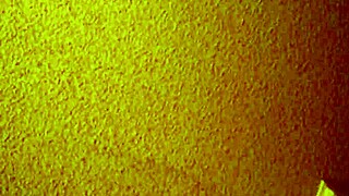 I hired this affordable asian mature escort