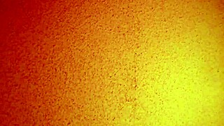 I hired this affordable asian mature escort