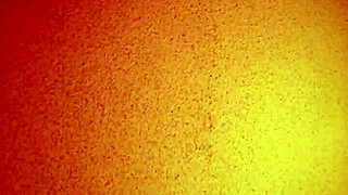 I hired this affordable asian mature escort