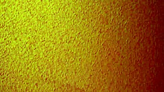 I hired this affordable asian mature escort