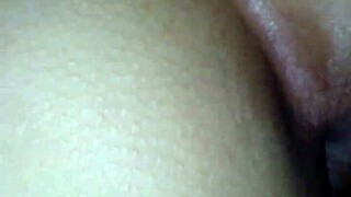 mysterious doggy pose reveals hidden temptations