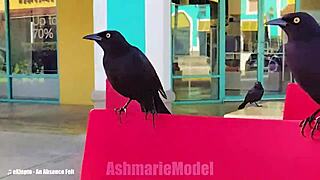 skinny slut flashes small tits pussy in public skirt