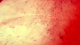 Pregnant Gretala Begs for Creampie in Her Swollen Pussy