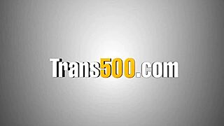 tranny bounces wildly on that massive shlong