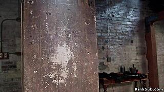 Can you train this slim long-legged slave babe?