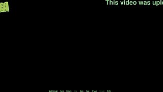 Harem Hotel Game Heats Up Room 152