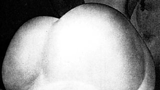 What secrets hide in these vintage erotic drawings?