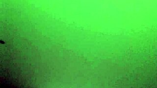 latina stranger ignites wild hotel ride in mexico city