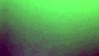 latina stranger ignites wild hotel ride in mexico city