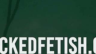 Lola Bunny's Petite Poolside Tease