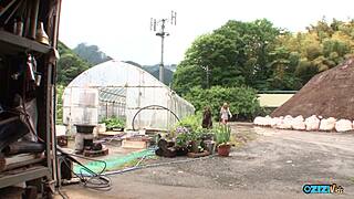 Chilling in the greenhouse with plants and solo cucumber fun