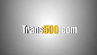 shemale slut's tight ass gets roughly destroyed in hardcore anal