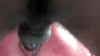 three slutty gilfs sharing a massive horny college bbc