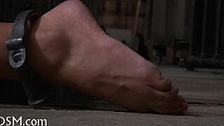 Hottie Shovels Massive Rod Deep in Tight Cunt Competition Fuck!