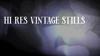 dark lantern entertainment reveals vintage hairy mature beaver secrets