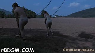 bound tight pussy stretched in hardcore sadomasochism fucking sucking orgasm