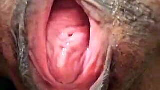 brenda floripa rips clothes teasing her hidden solo masturbation secrets