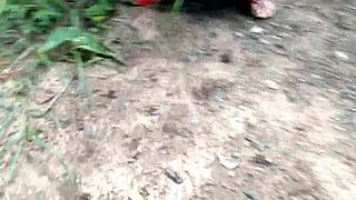 Woman thrusts huge dildo deep in tight pussy outdoors