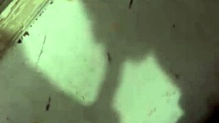 shadow delivers wild blowjob anal creampie action