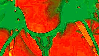 exotic babe's pussy drips as tongue dives deep inside