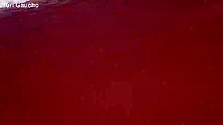 yuri gaucho wife flashes tits in public nudist beach