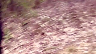 my husband ignored me so i banged hot strangers in the forest