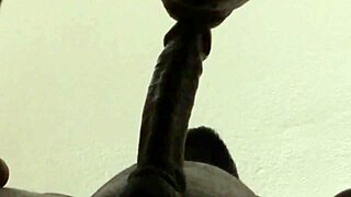 he kept cumming while i sucked his huge load nonstop