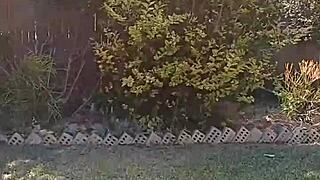 mature blonde spreads huge shaved pussy in secret garden