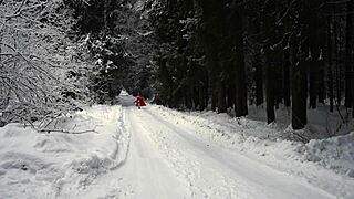 red hood tempts deep in snowy forest on christmas adventure
