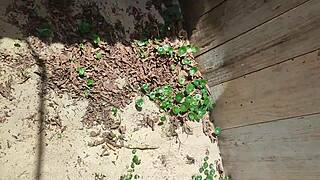 caught her peeing on beach, now she sucks my cock in public thrill