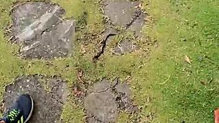 Brunette Wife Teases Ass in Tight Leggings on Morning Walk