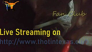 texas thot slut gets her wet pussy fucked, fingered, and vibed hard with toothbrush toy.