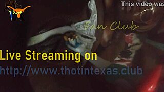 texas thot slut gets her wet pussy fucked, fingered, and vibed hard with toothbrush toy.