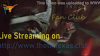 texas thot slut gets her wet pussy fucked, fingered, and vibed hard with toothbrush toy.