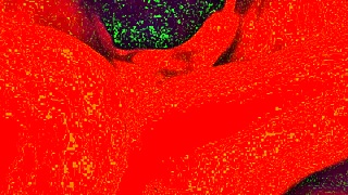male dom throating his submissive slut bbw blowjob red light videos
