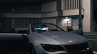 GTA 5 Hooker Service In The Car